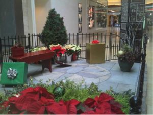 Landscaping Tips for the Holidays