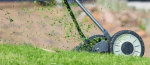 Landscaping Problems You're Likely to Encounter