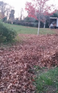 Making It Easier to Clean Leaves That Are In Your Yard