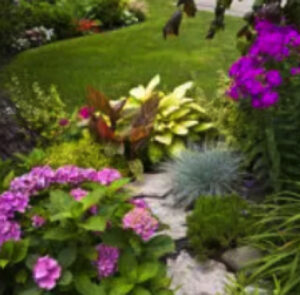 Ways Your Yard Can Be Given More Privacy