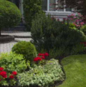 Landscaping Tips That are Budget-Friendly