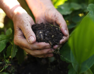 "Signs of Unhealthy Soil, and How to Improve Soil Health"