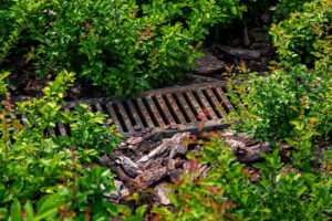 Ways That Drainage Problems Can Occur, and How to Resolve Them