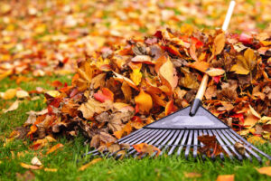Why Leaves Should Not Be Left Around Your Yard
