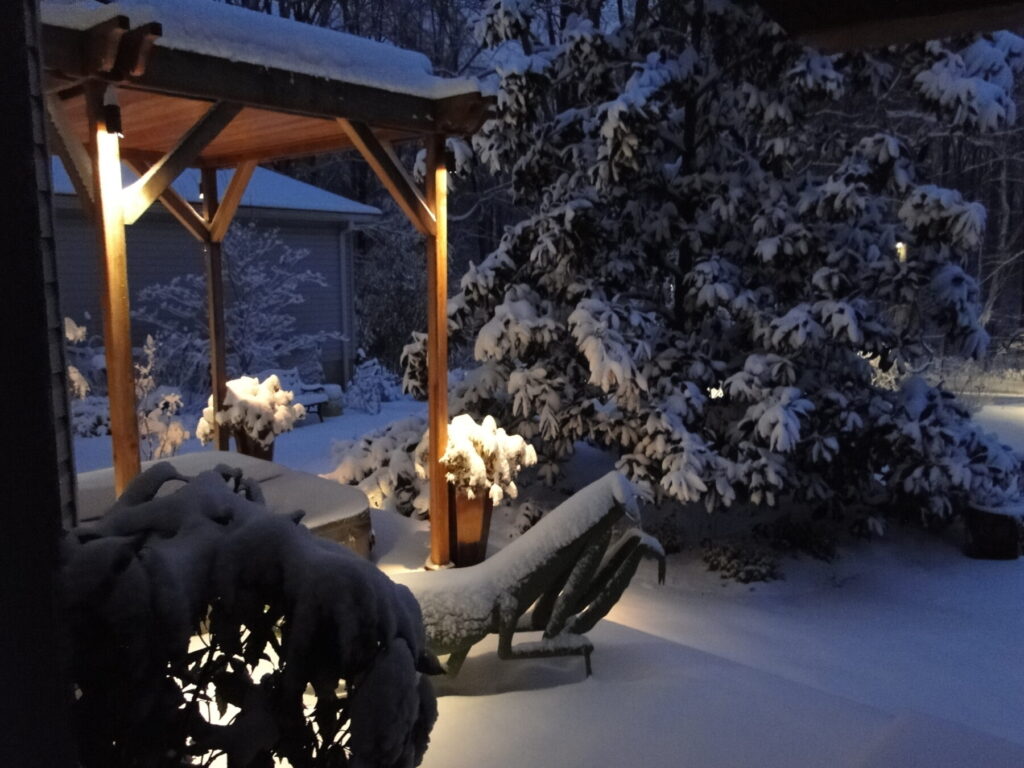 illuminated outdoor living space in snow with snowy evergreen backdrop